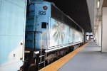 Rear side view of Tri-Rail BL36PH # 825 at Miami Central Station 